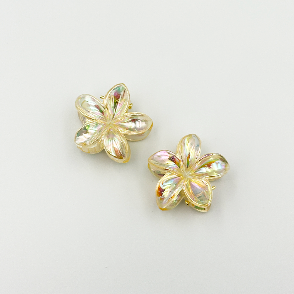 2pcs Boho Transparent Resin Flower Clips