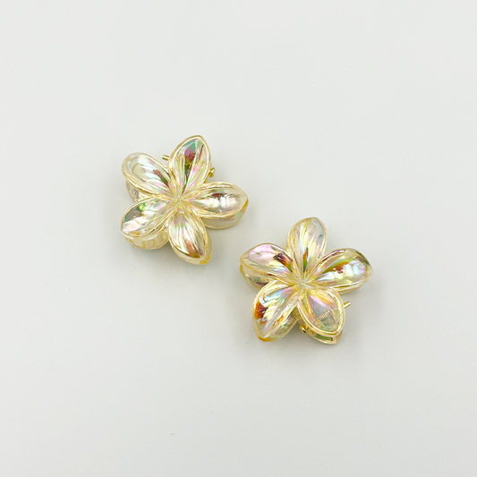 2pcs Boho Transparent Resin Flower Clips