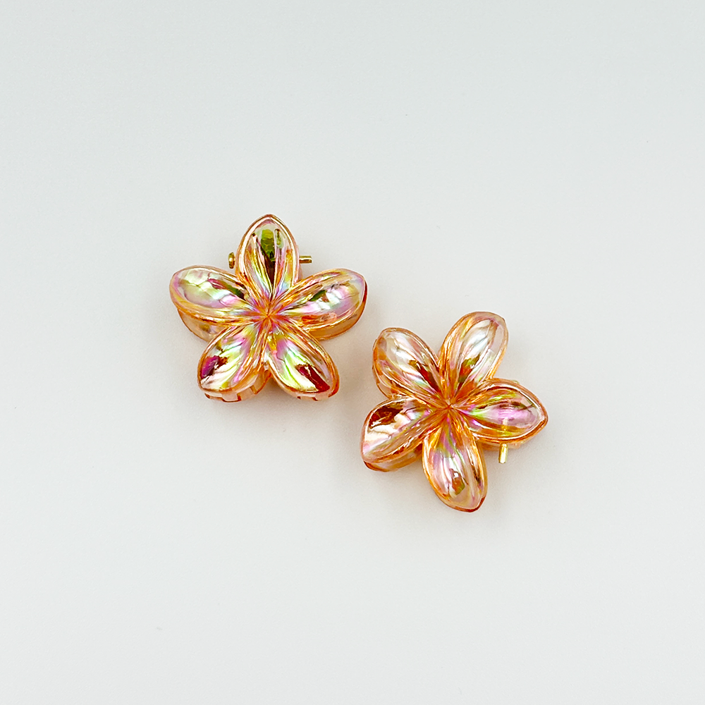 2pcs Boho Transparent Resin Flower Clips